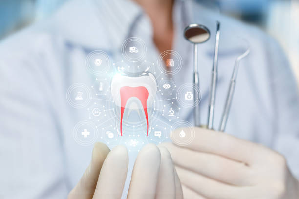 Best Pediatric Dentistry  in Greenfield, WI